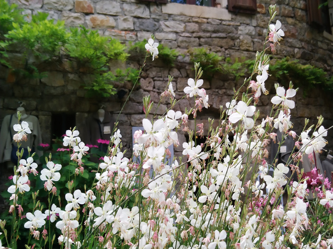 Le Moulin de Cenaret景点图片