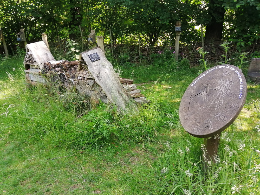 Sevenoaks Wildlife Reserve-Sevenoaks必去景点