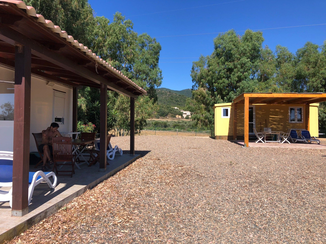 Agriturismo gli Ulivi主图