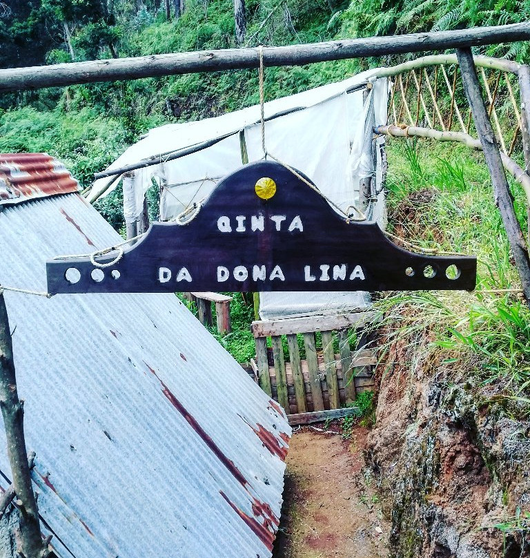 Levada do Castelejo景点图片