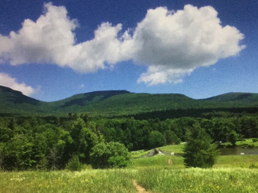 Catskill Mountain Lodge主图