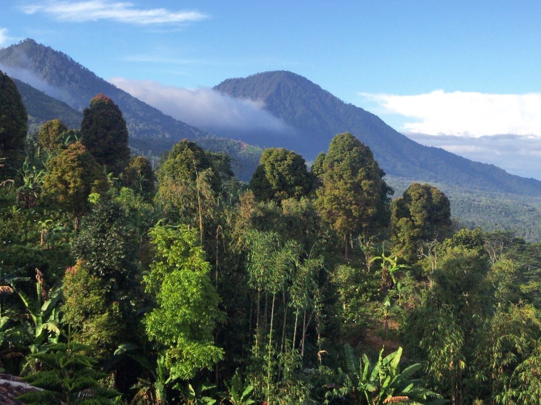 Munduk Farm House主图