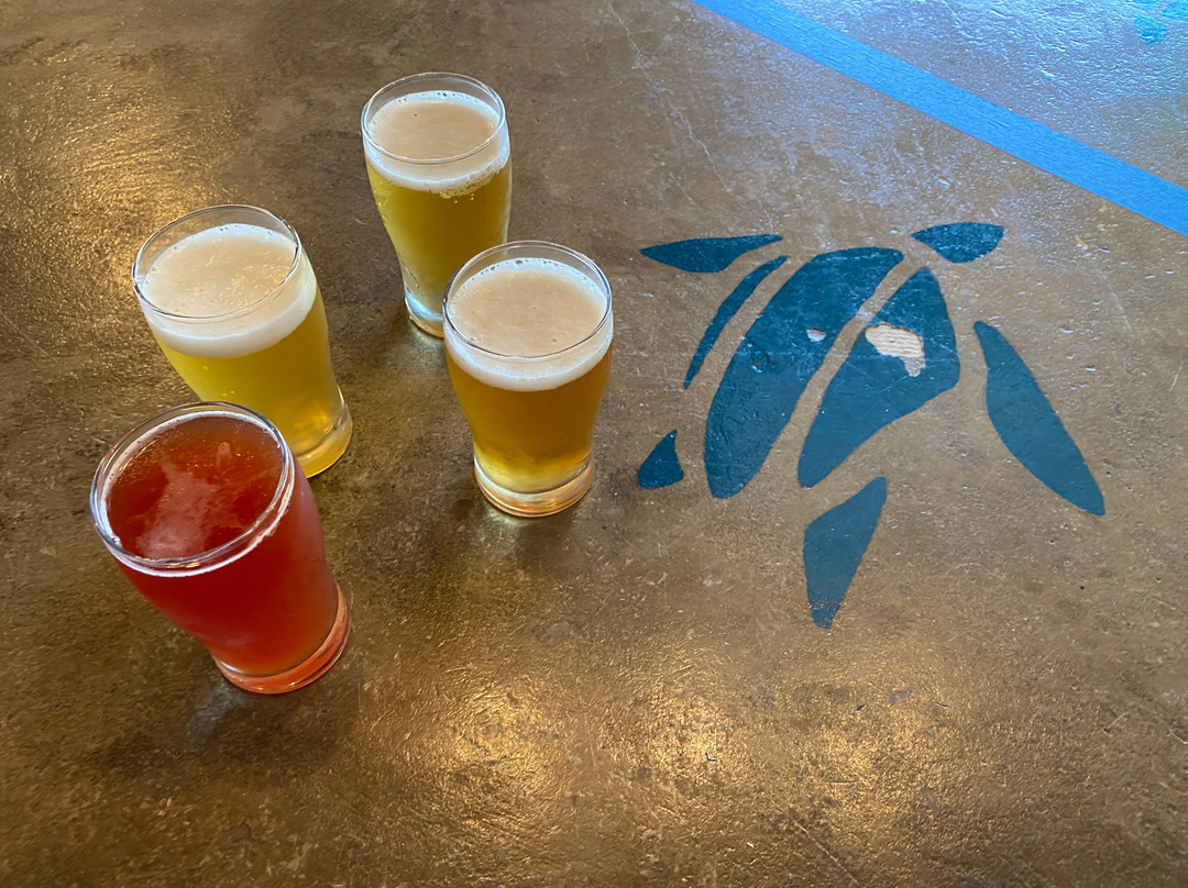 Leatherback Brewing Co.-圣克鲁斯必去景点