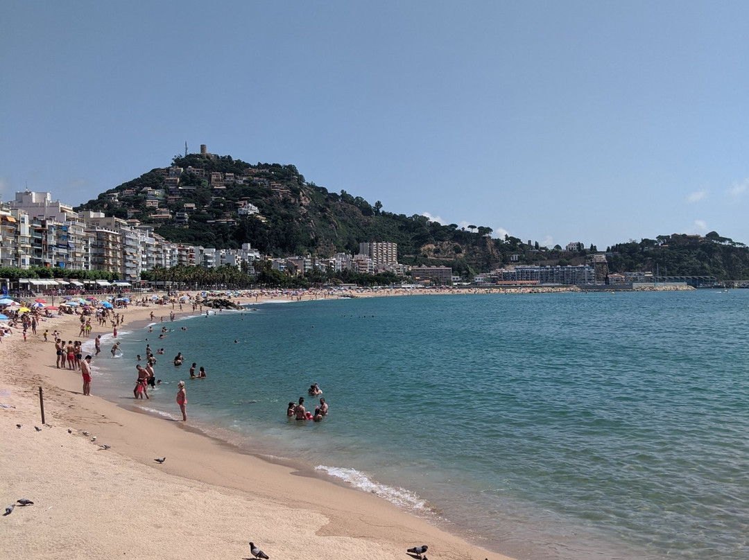 Platja de Blanes景点图片