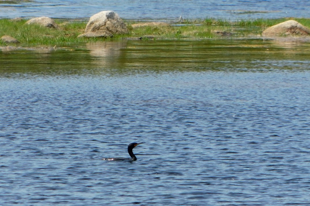 East River Provincial Park景点图片