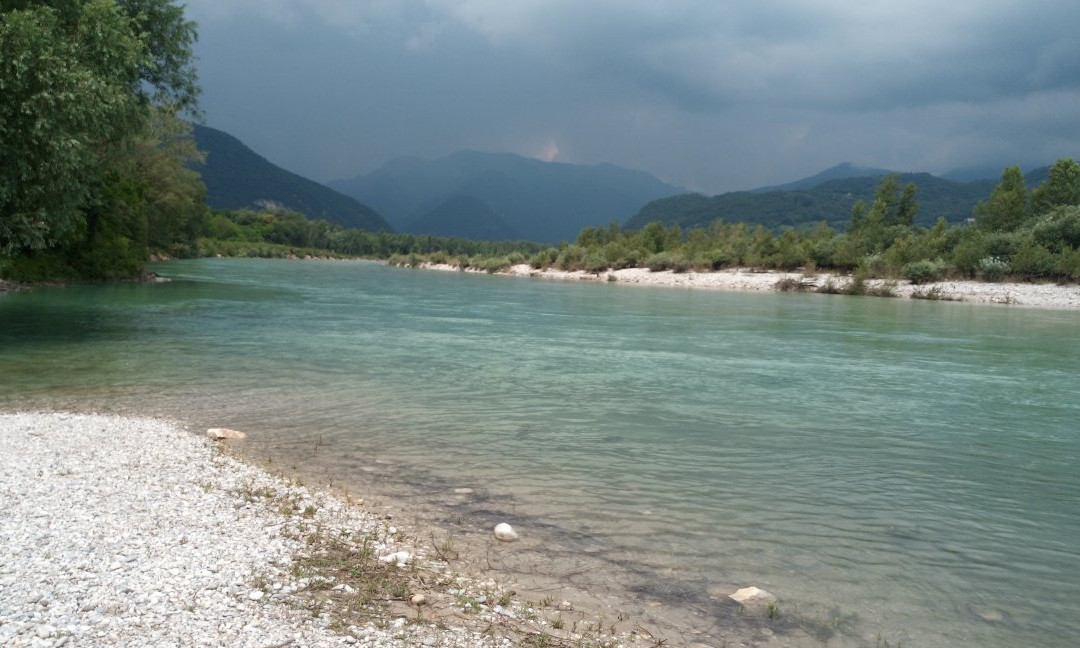 Sentiero della Garzaia di Pederobba景点图片