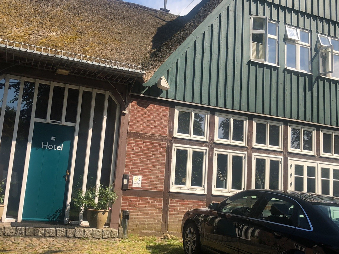 Fischerwiege am Passader See主图