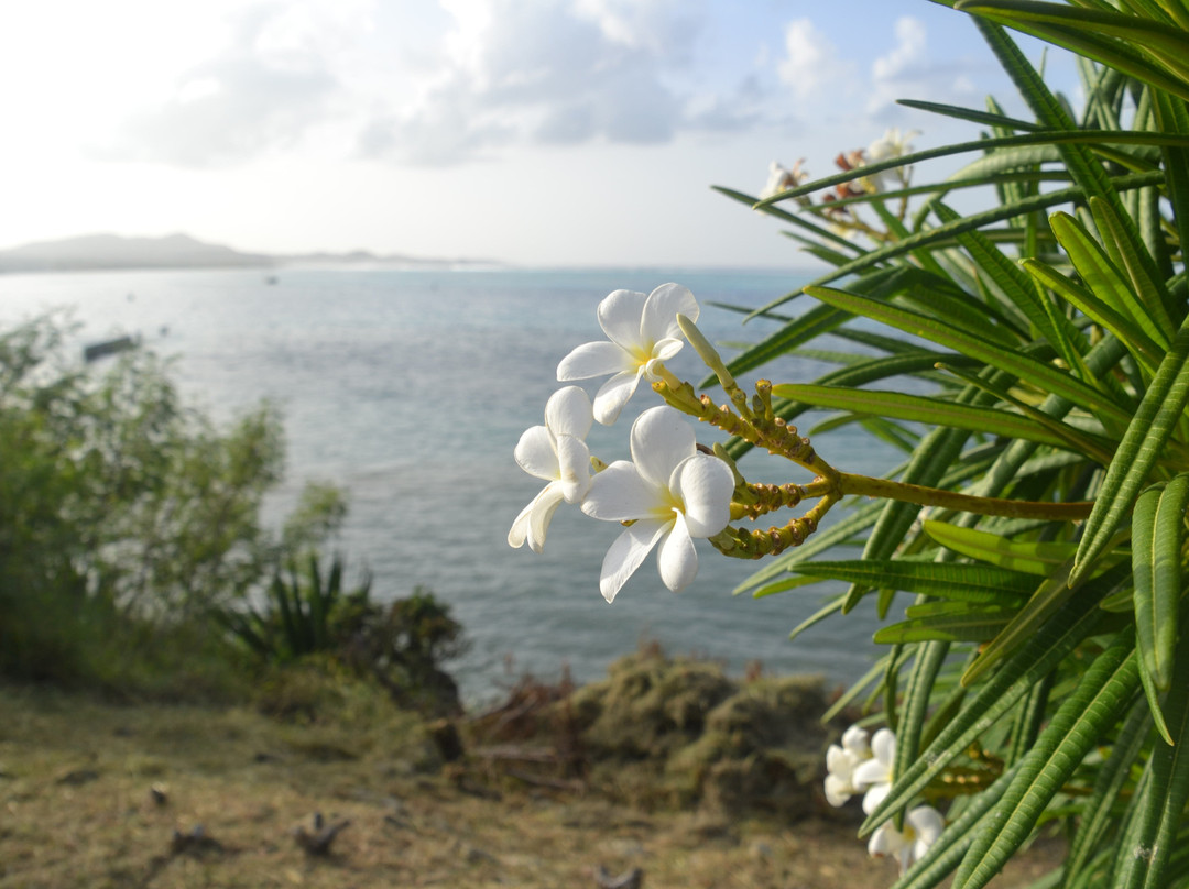 Protestant Cay-Christiansted必去景点