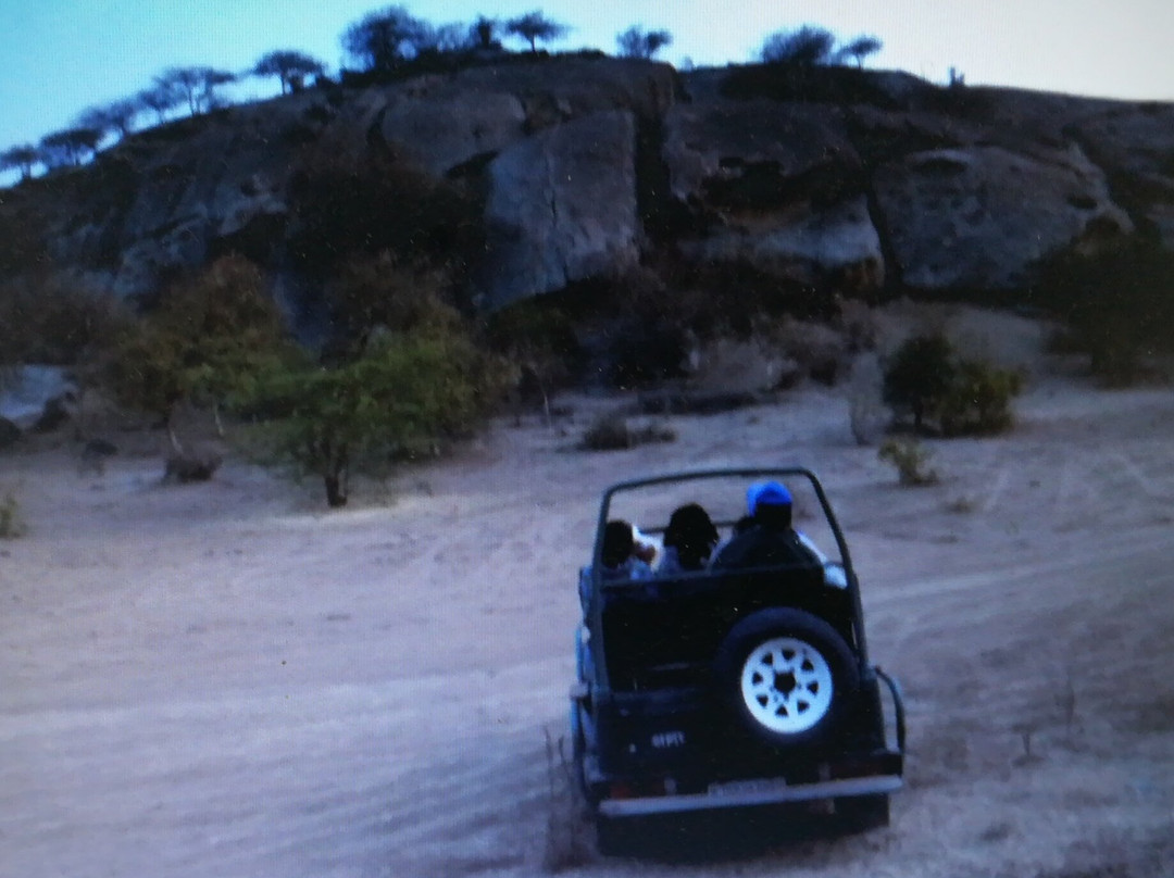 Jawai Safari's-Bera必去景点