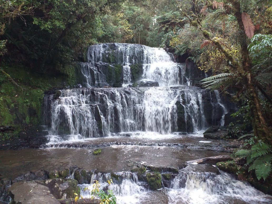 Purakaunui Falls Walk景点图片
