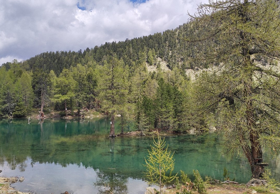 Rundwanderung zum Zirmtaler See-Castelbello-Ciardes必去景点