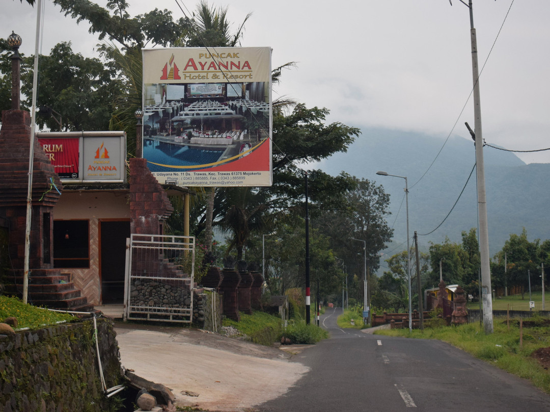 Puncak Ayanna Trawas Hotel & Resort主图