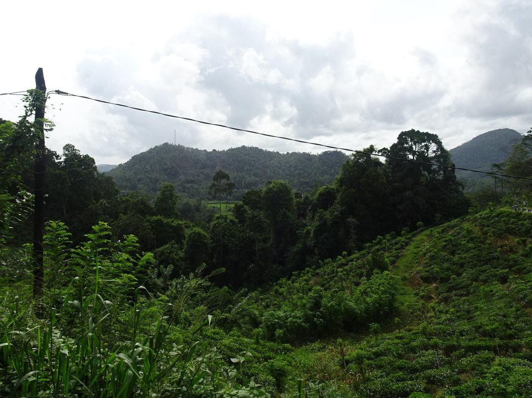 BTR SL-加勒必去景点