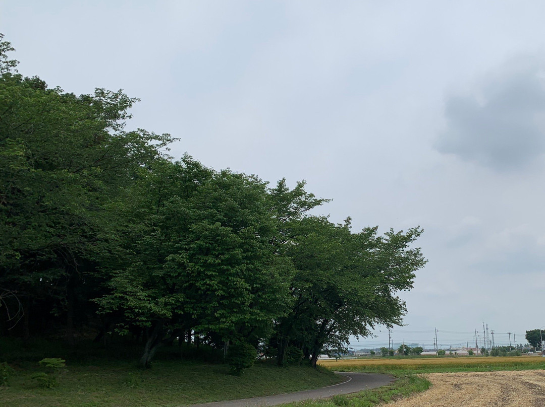 Ofujisan Tumulus-伊势崎市必去景点