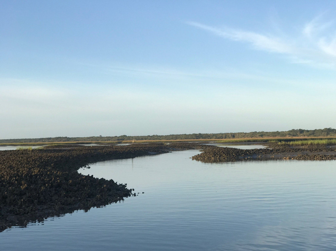 GeoTrippin' Adventure Co.-Saint Augustine Beach必去景点