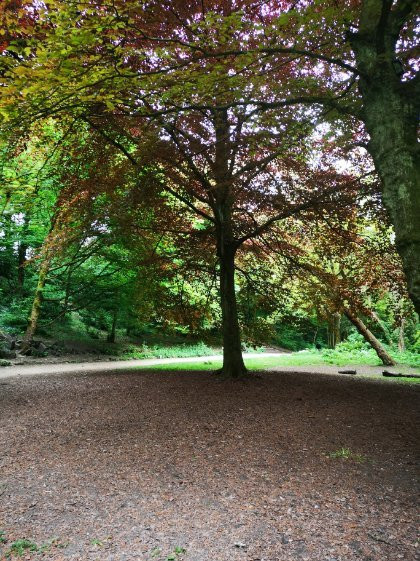 Stamford Park景点图片
