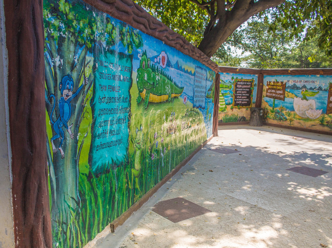 Crocodile Rehabilitation Centre景点图片