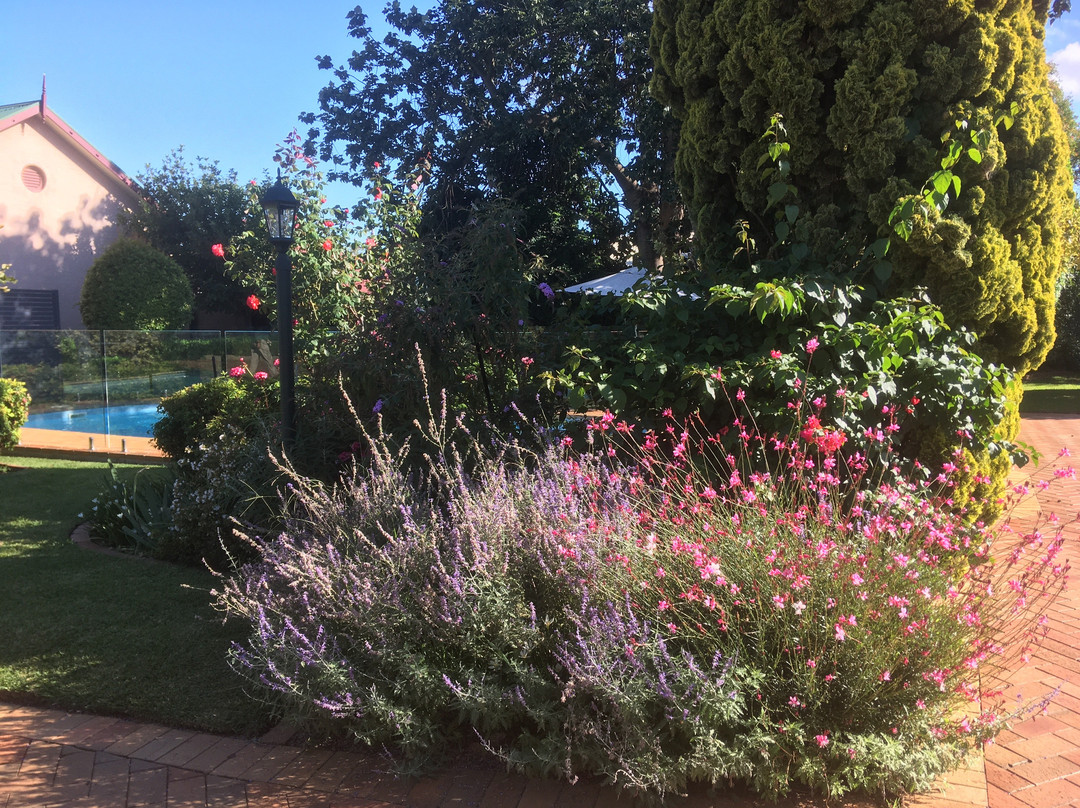 Country Apartments主图