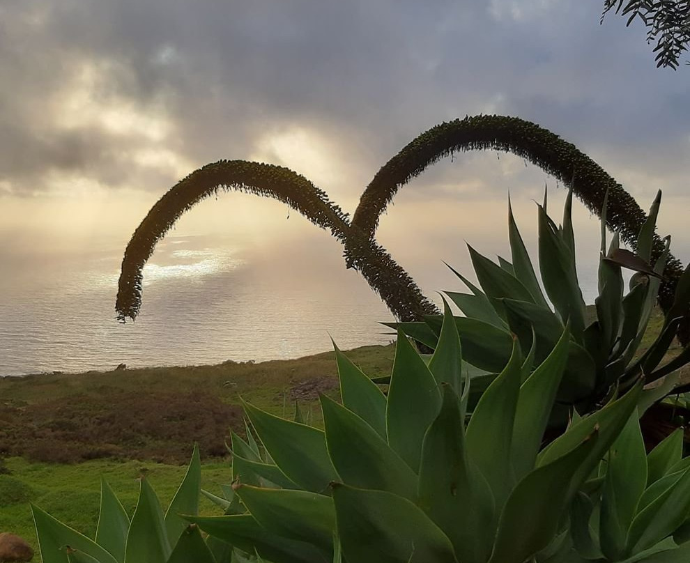Pearl of the Atlantic Madeira-沙尔必去景点