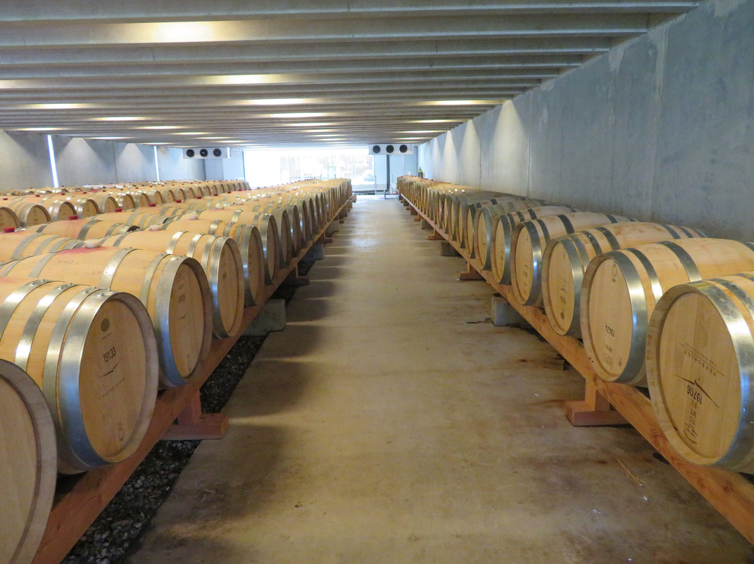Peregrine Wines-Gibbston必去景点