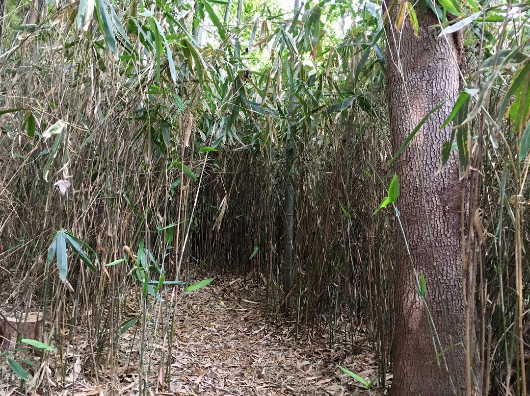 Kicheongsan Botanical Gardens-浦项市必去景点