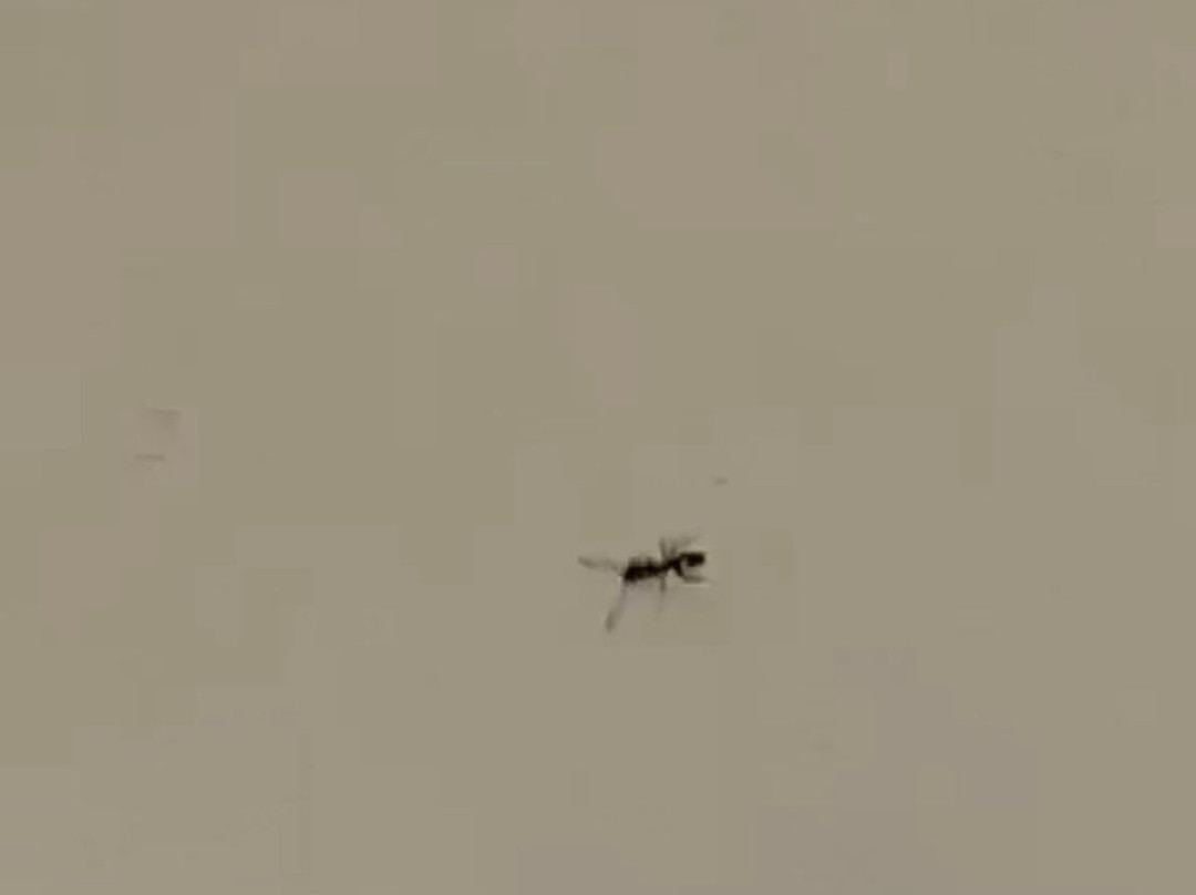 Super 8 by Wyndham Columbia East主图