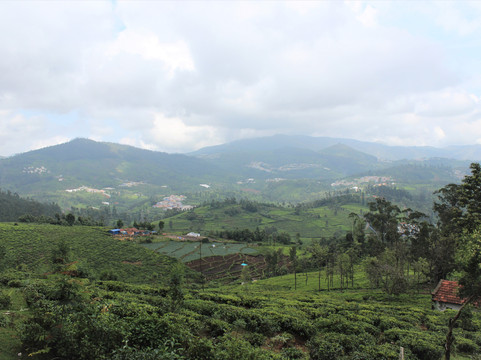 Kodanad View Point-Kotagiri必去景点