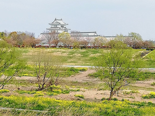 Nakanoshima Park-五霞町必去景点