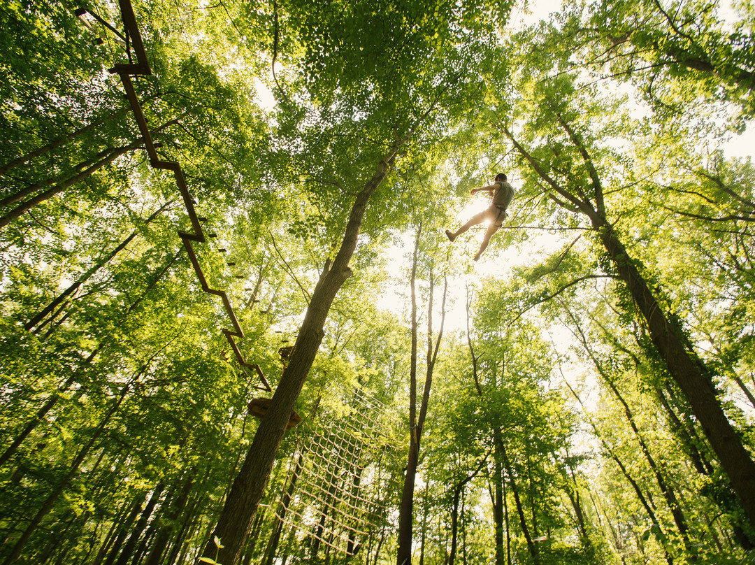 Go Ape Zipline & Adventure Park景点图片