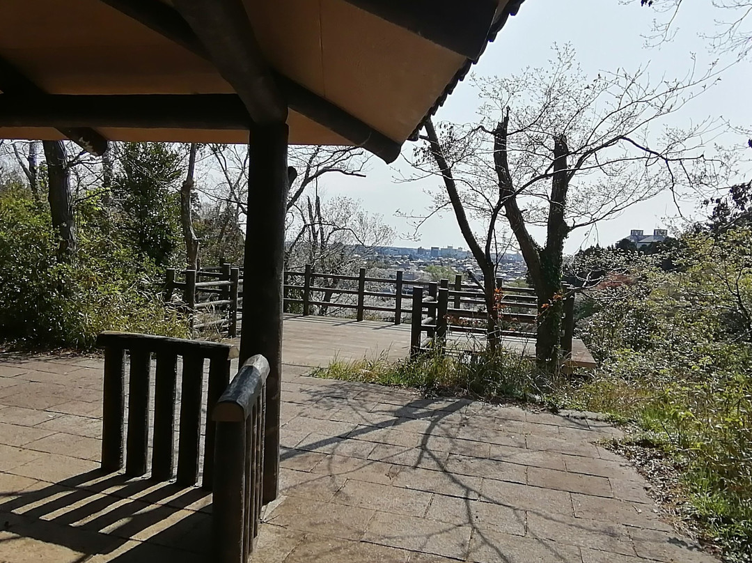 Mobara Park-茂原市必去景点