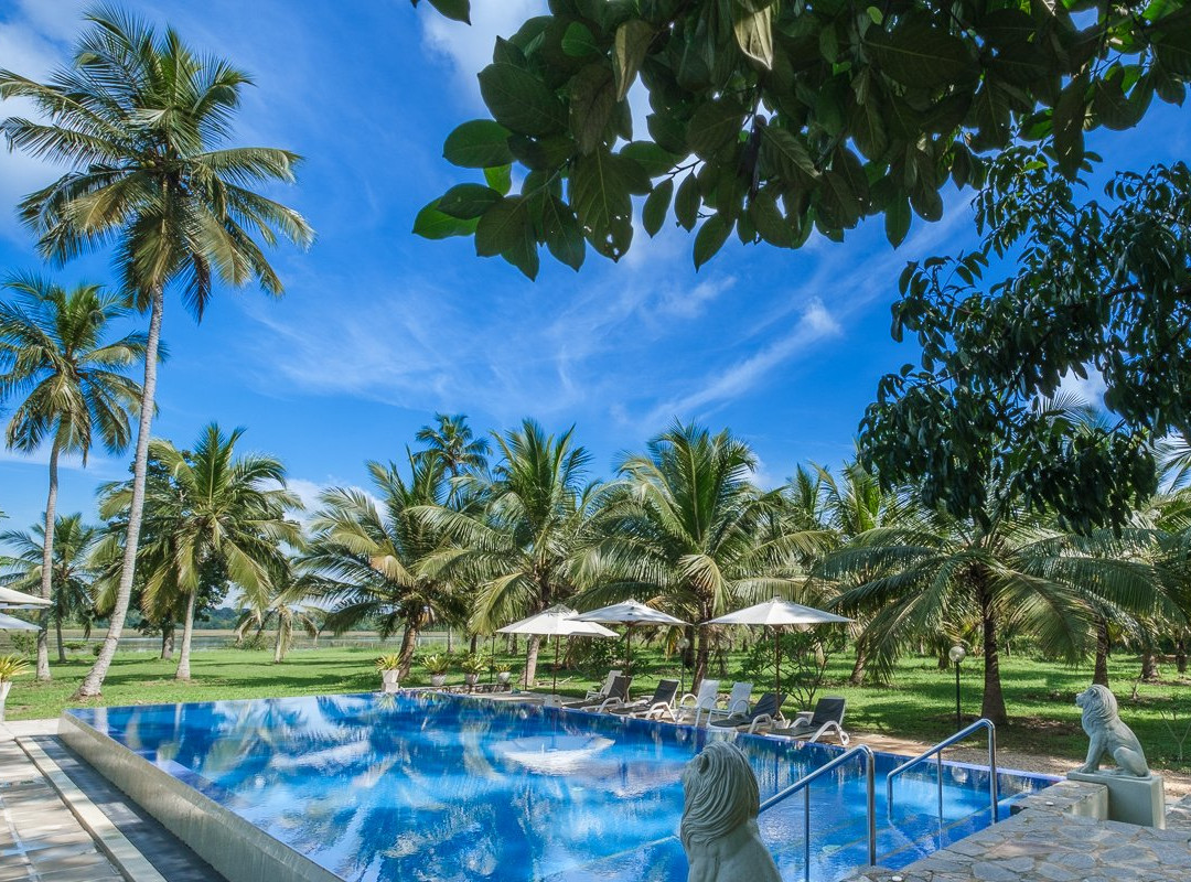 The Notary's House主图