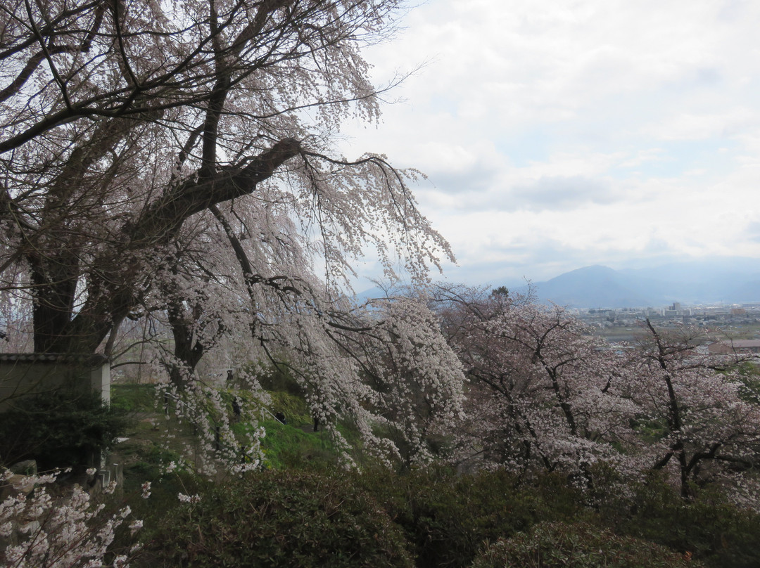 Korin-ji Temple-长野县必去景点