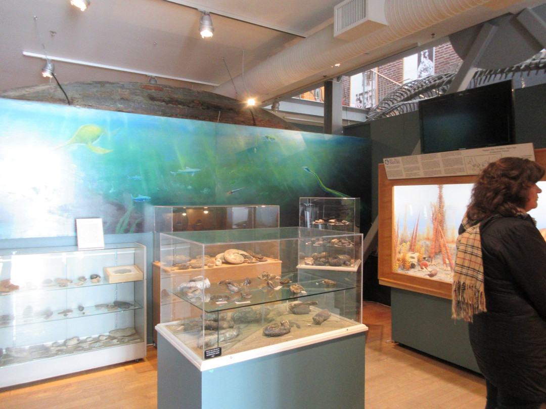 Courtenay & District Museum & Paleontology Centre景点图片