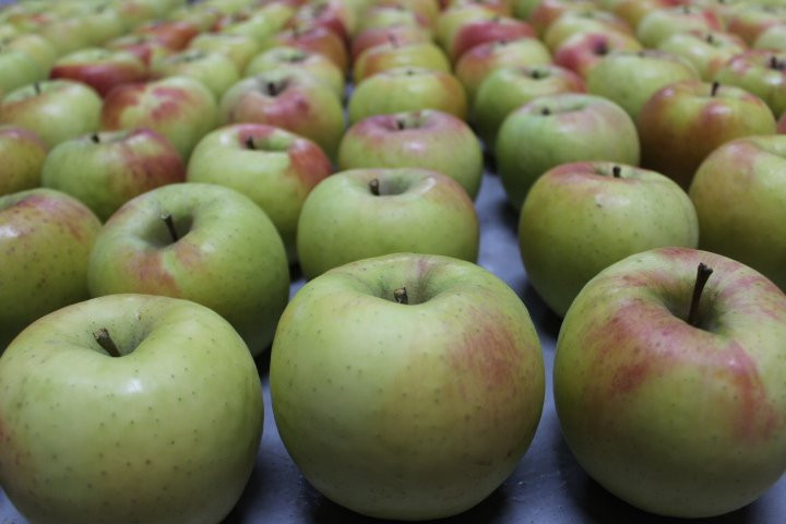 Tamura Apple Farm-沼田市必去景点