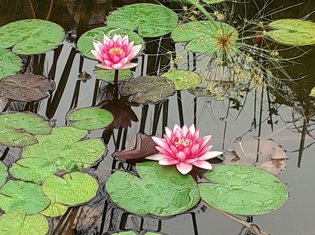 Hotel Selva Montana主图