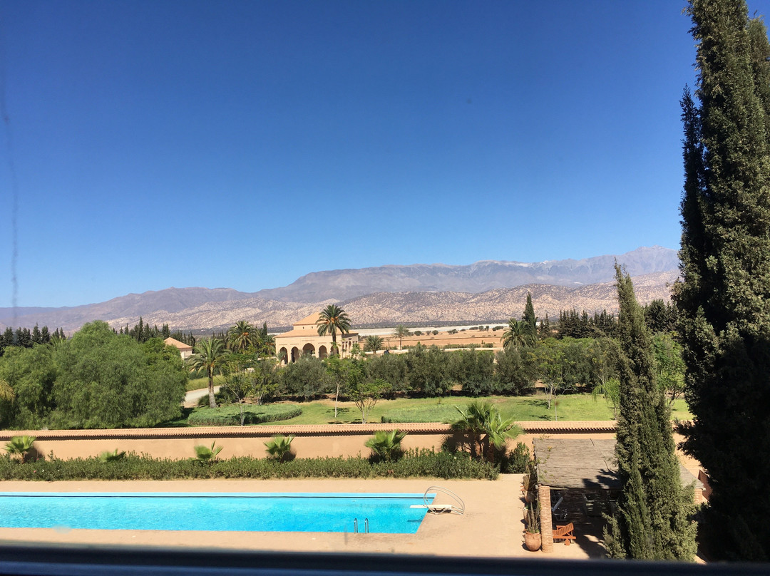 Palais Claudio Bravo主图