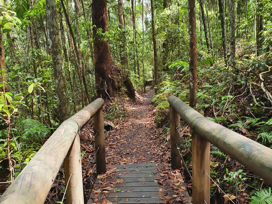 Kondalilla National Park景点图片