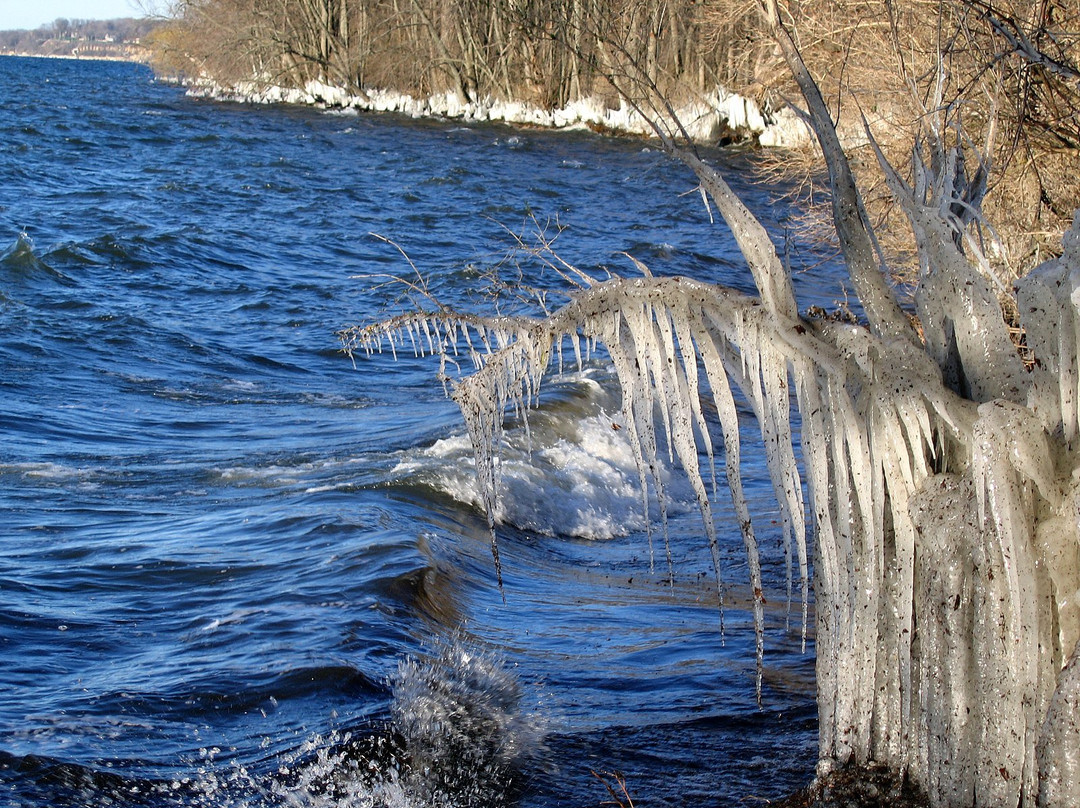 Lakeshore Nature Preserve at University of Wisconsin-麦迪逊必去景点