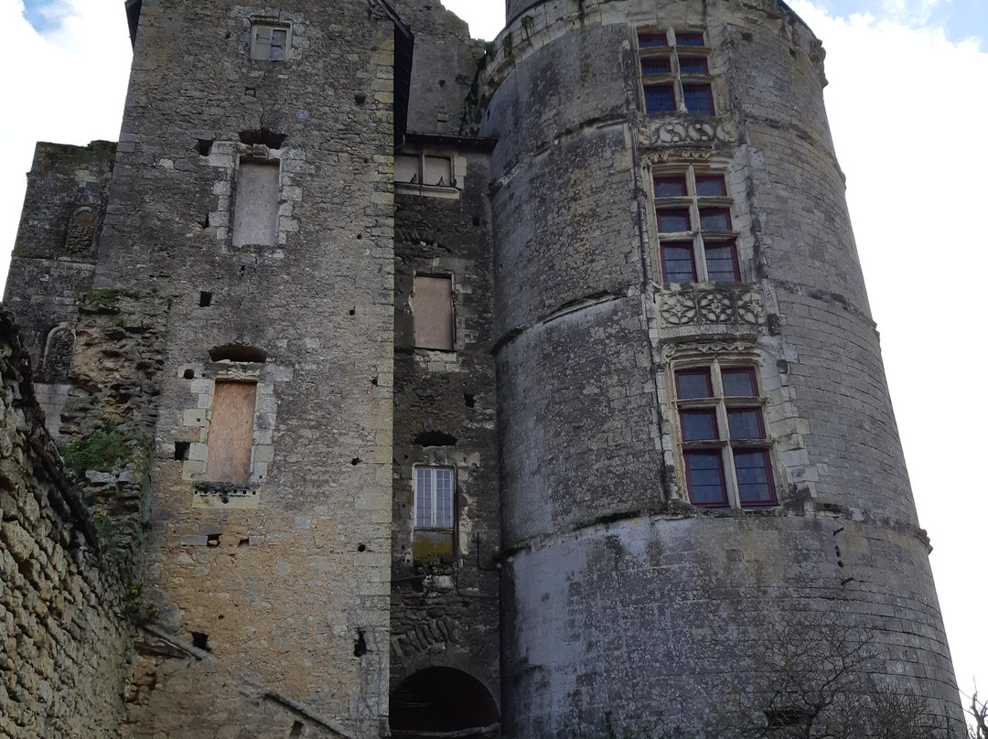 Chateau de Martigne Briand景点图片