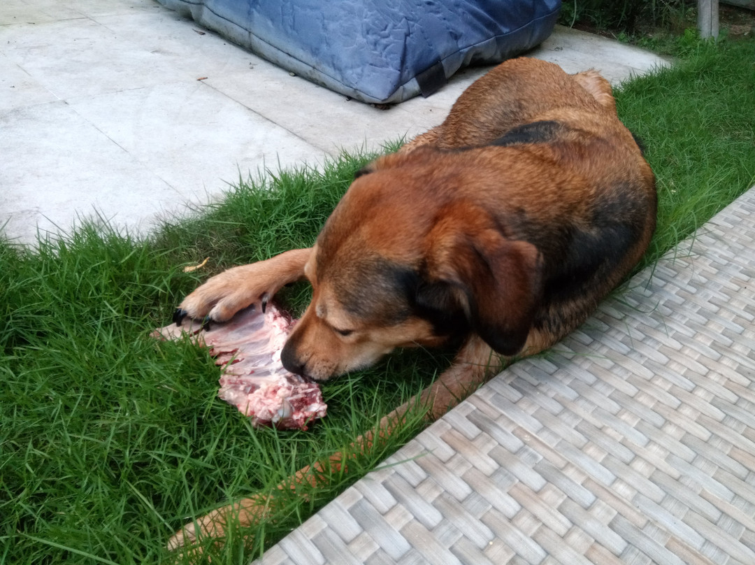 Kumbasari Market-登巴萨必去景点