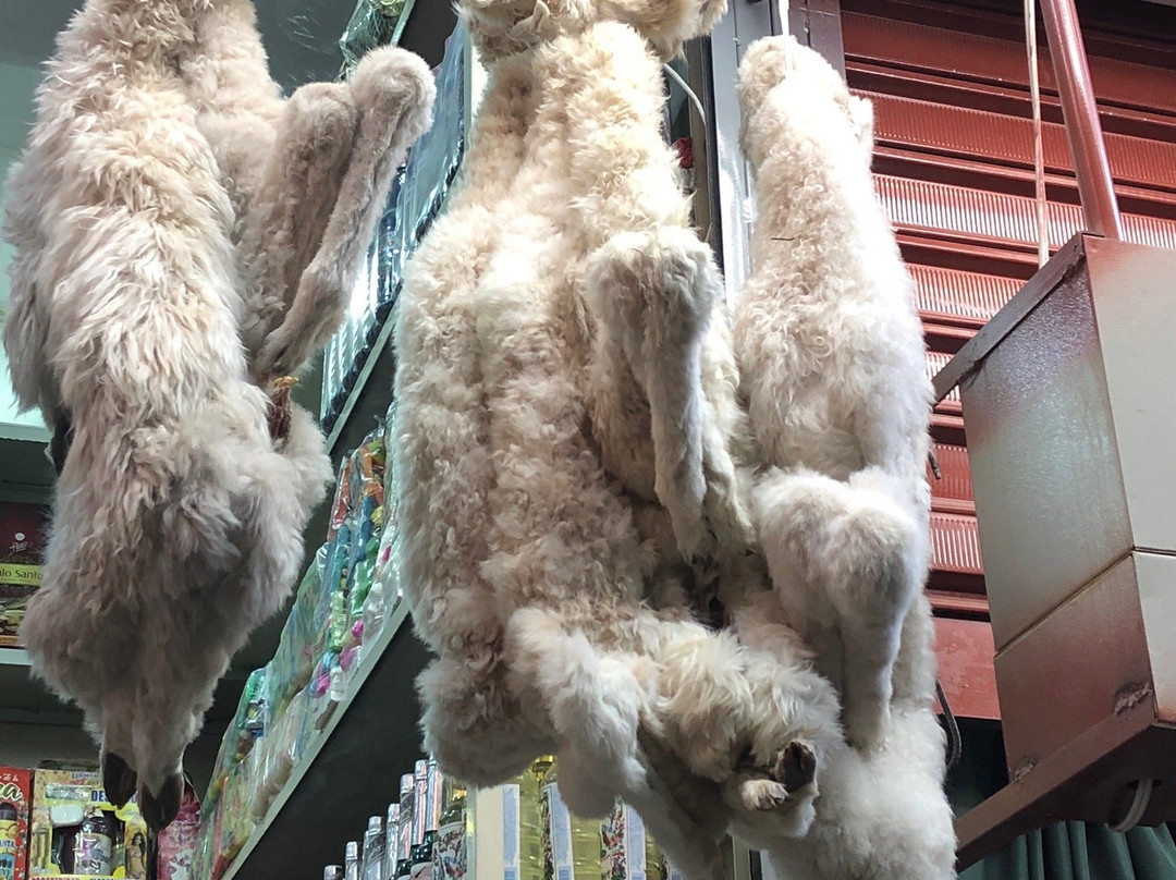 La Cancha-科恰班巴必去景点