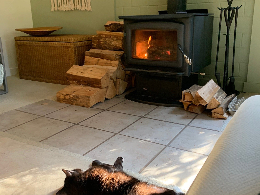 Self Realization Sevalight Centre for Pure Meditation Healing & Counselling主图