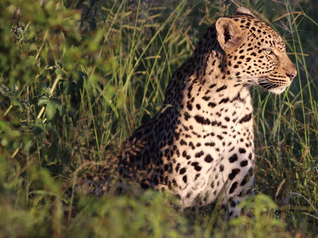 Africa Photographic Services-白河必去景点