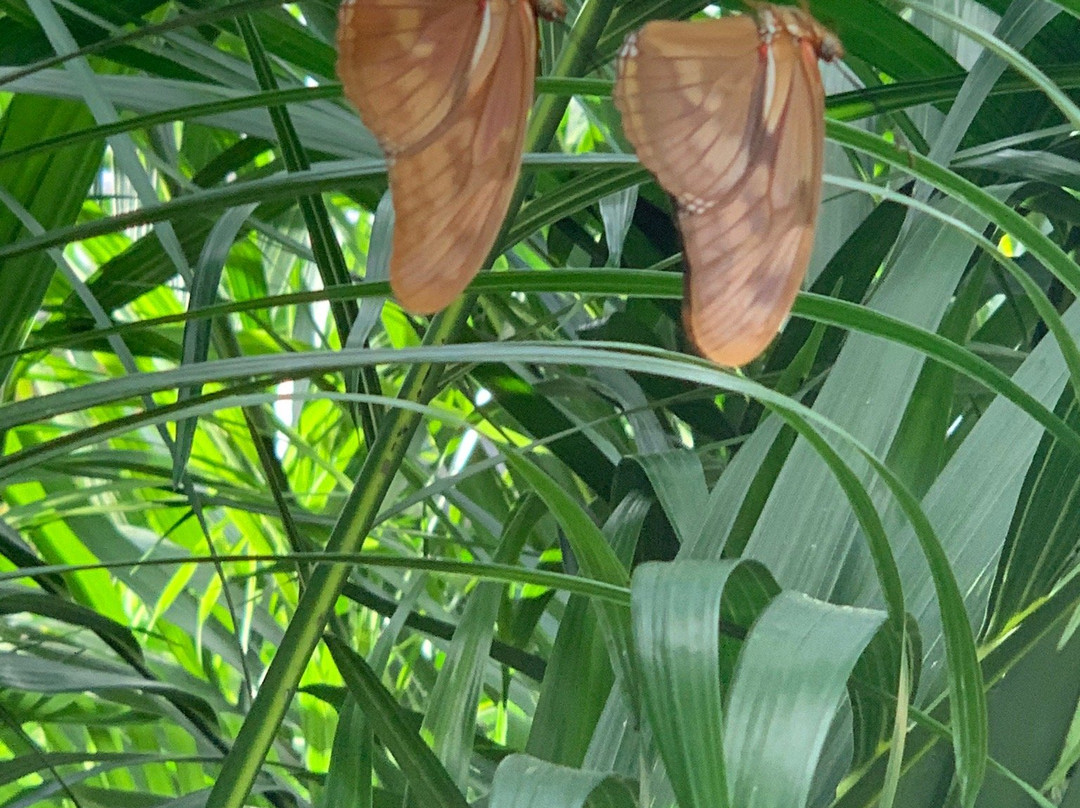 Springtime Farms Adventure Park Fort Myers-North Fort Myers必去景点