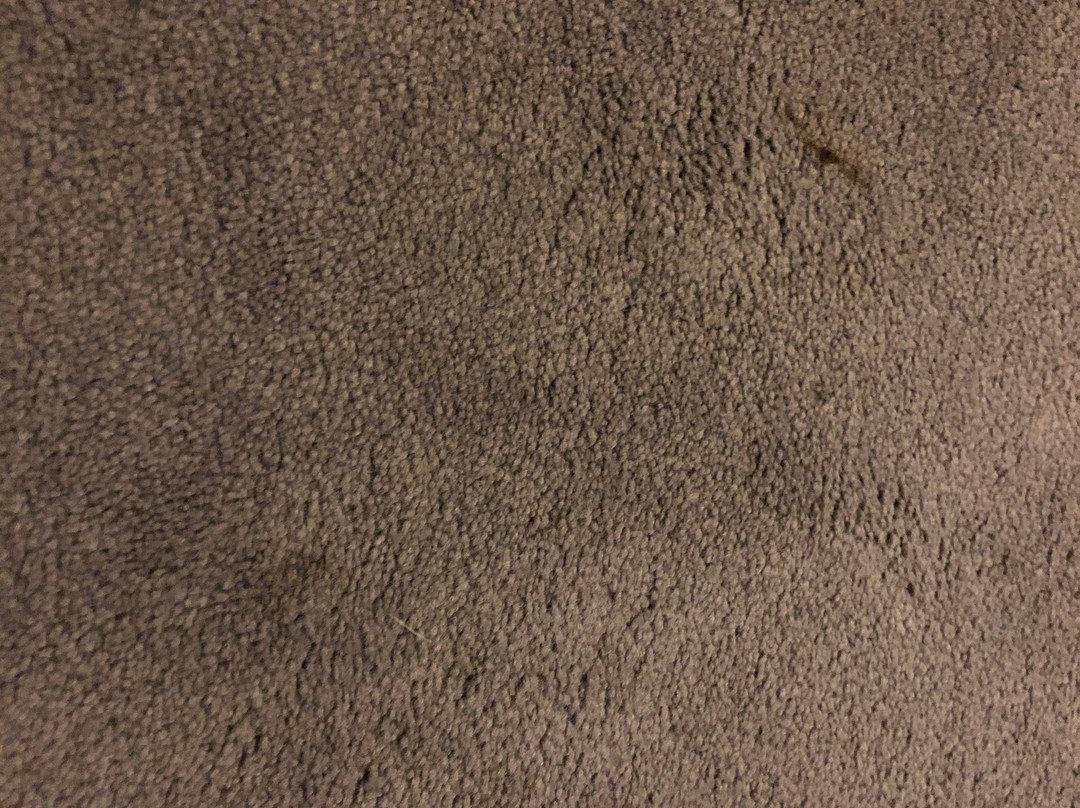 Stay Hotel Guimarães Centro主图