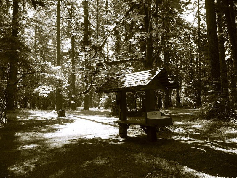 Cascadia State Park景点图片