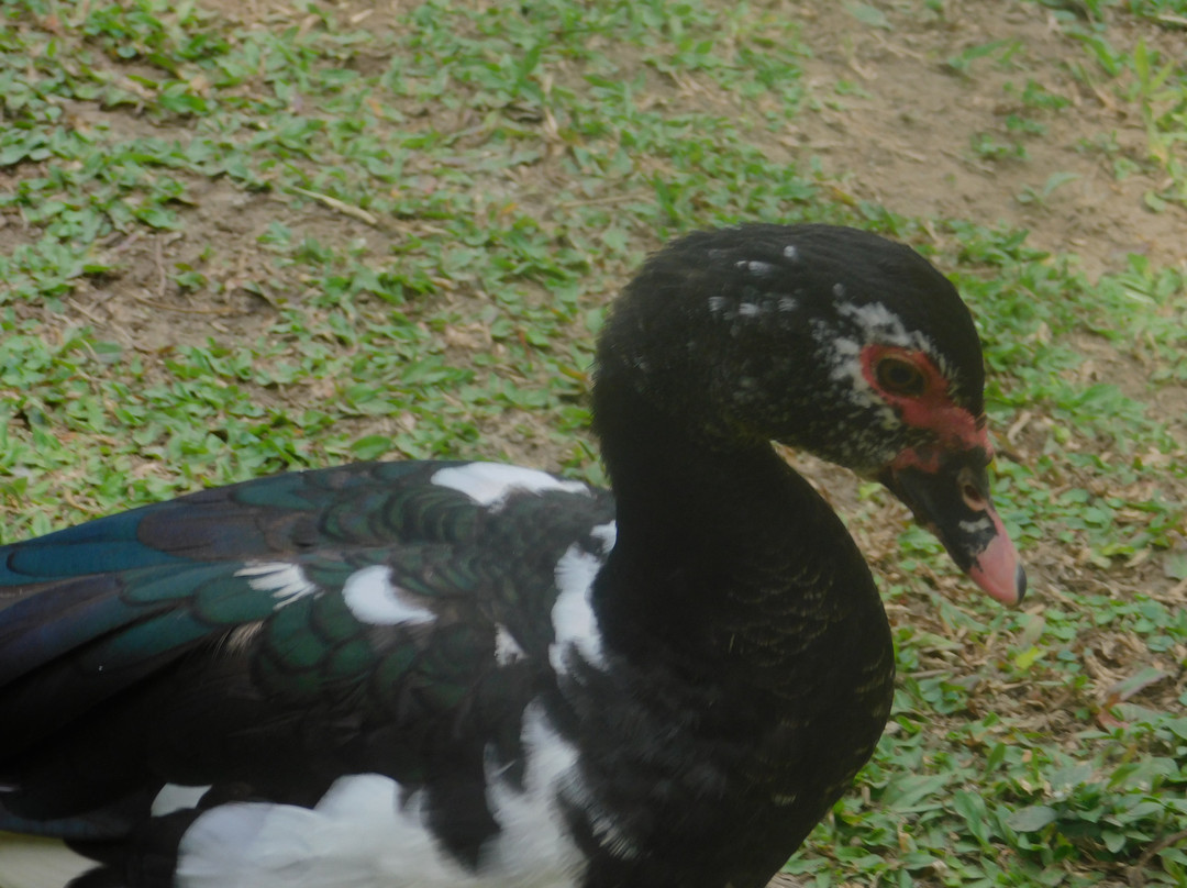 Vida Park-亚美尼亚必去景点