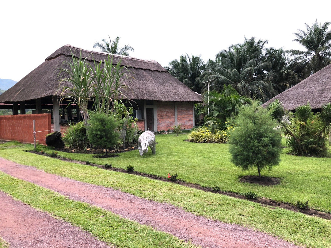 Parc de la Vallée de la Nsele景点图片