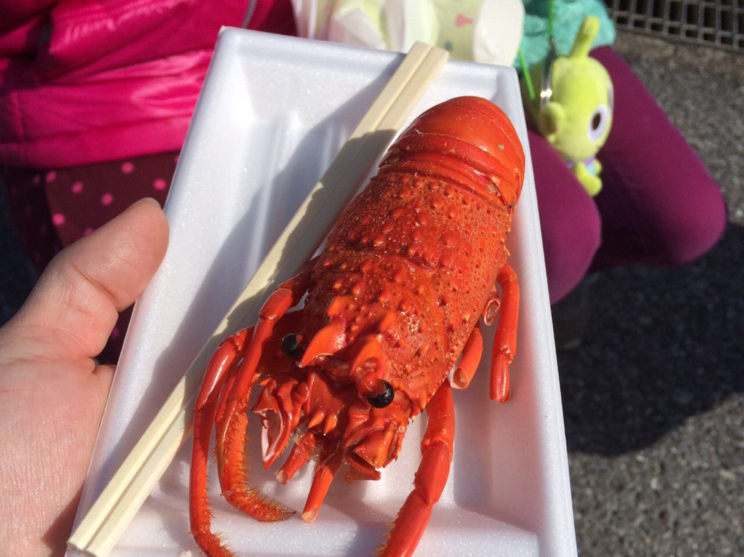 Ohara Port-夷隅市必去景点