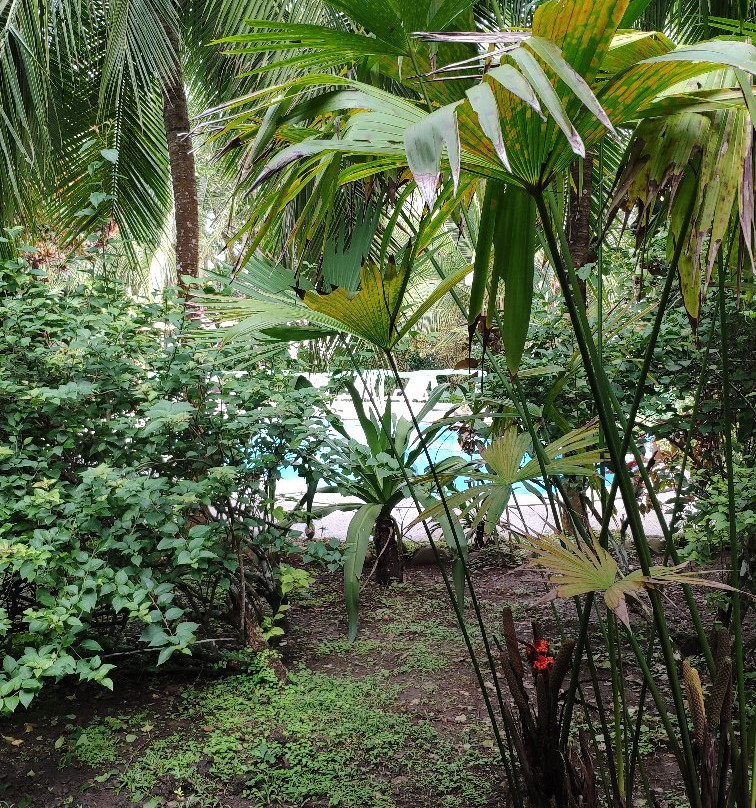 Hotel La Diosa主图